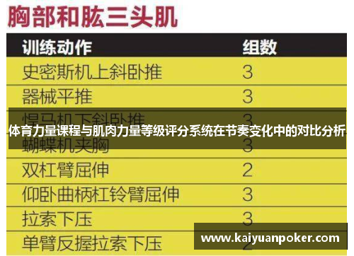 体育力量课程与肌肉力量等级评分系统在节奏变化中的对比分析
